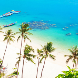 成都-苏梅岛(苏拉塔尼)单程含税机票春节期间