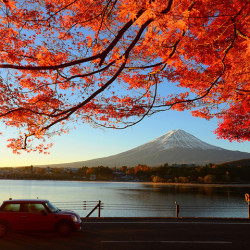 特价机票:广州-东京 5日往返含税机票 日航执飞