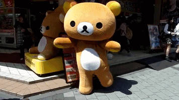 萌即是正义: 懒懒的每一天——轻松小熊 日亚萌物赏 最终话