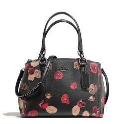 COACH 蔻驰 F55538 女士小号花卉印花涂层手
