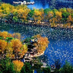 12月出行:南京直飞昆明8天往返含税机票(含拼