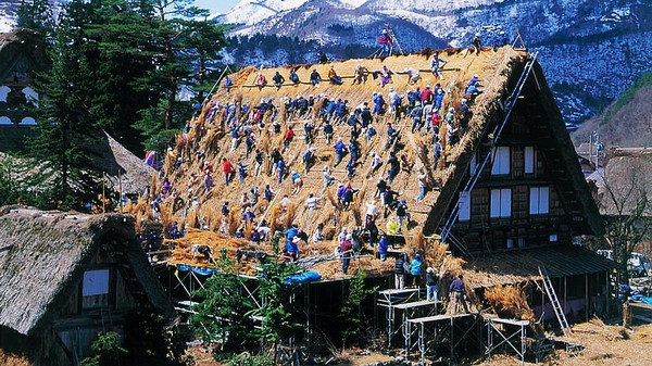 日本白川乡点灯夜一日游(名古屋往返,合掌村亮灯仪式,含午晚餐晚餐)