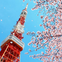 促销活动:浦发美国运通 白金信用卡 2016年4月