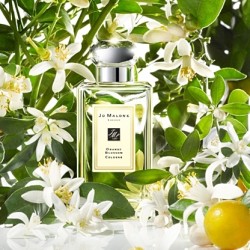jo malone 橙花女士香水 30ml