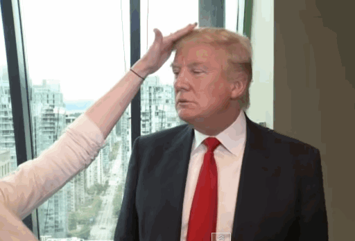512_348gif 动态图 动图