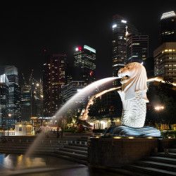 五星新航:北京直飞新加坡4-7天往返含税机票 1