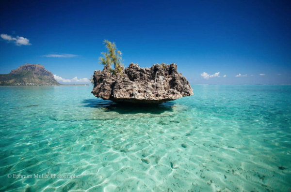 3月出行:上海-毛里求斯8日往返含税机票+全程