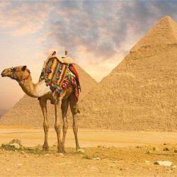 文明古国:广州直飞埃及10天7晚跟团游(往返机