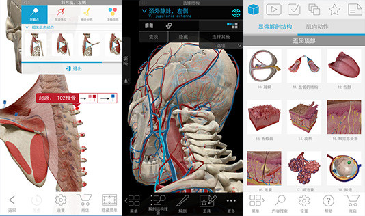 艺术家之3d解剖图