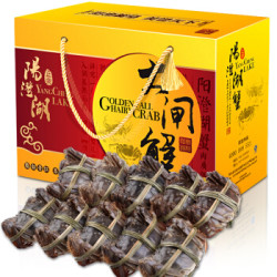 姑苏渔歌 六月黄 阳澄湖大闸蟹 1.6-2.0两*8只装 *2件