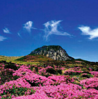 什么值得玩:上海至澳门自由行、长沙至洛杉矶