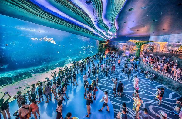 亲子游:珠海长隆 横琴湾\/企鹅\/马戏酒店 3天2晚