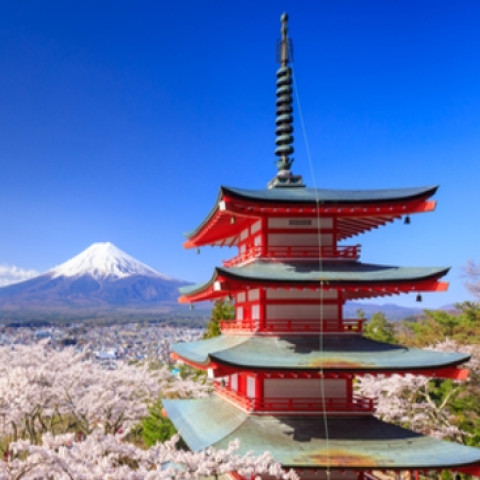 天津航空直飞:天津-日本东京6-7天往返含税