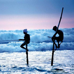 跨国庆机票:香港-斯里兰卡科伦坡往返含税 134