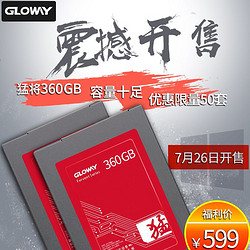 Gloway 光威 360G 猛将 固态硬盘