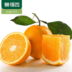 誉福园 秭归纽荷尔脐橙5斤 新鲜水果橙子脐橙